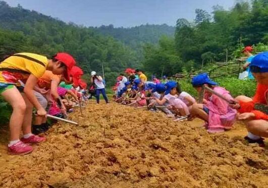 有机农场亲子互动：在 “共创” 中传递绿色理念